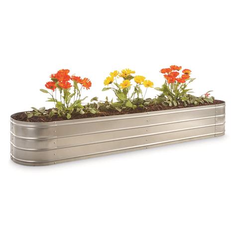 large oval planter boxes